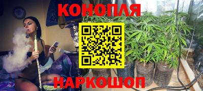 a pvp Каменск-Шахтинский
