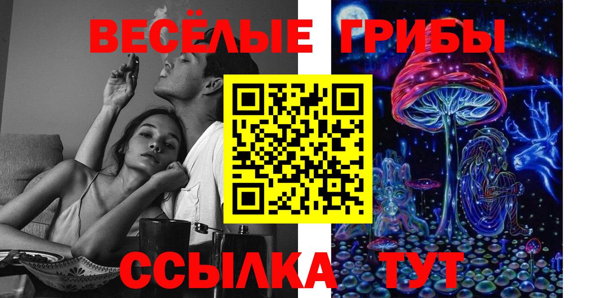 Усть-Илимск  Псилоцибиновые грибы MAGIC MUSHROOMS  Вход с VPN 