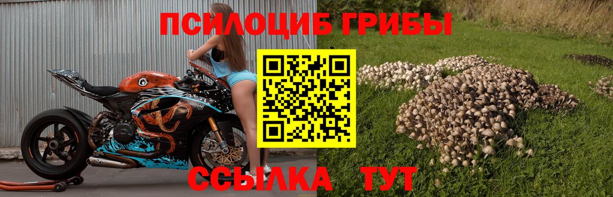 Галлюциногенные грибы GOLDEN TEACHER Усть-Илимск